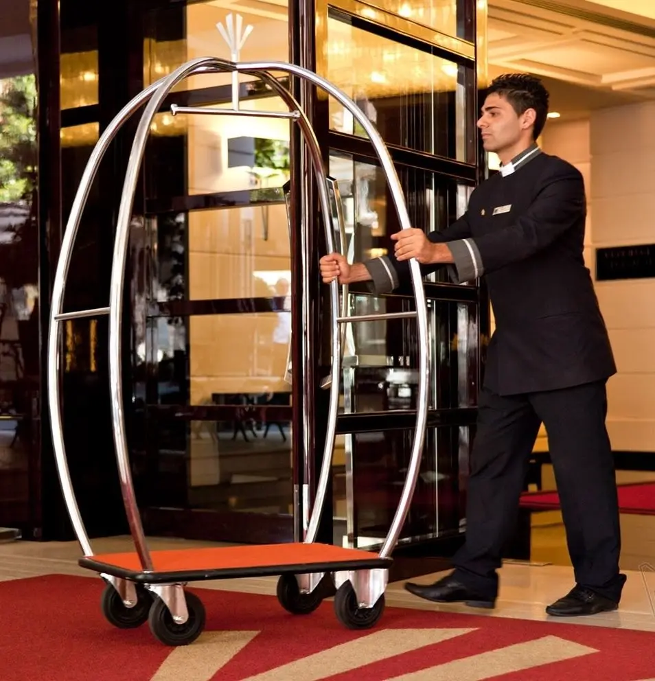 Valiz Taşıma Arabaları