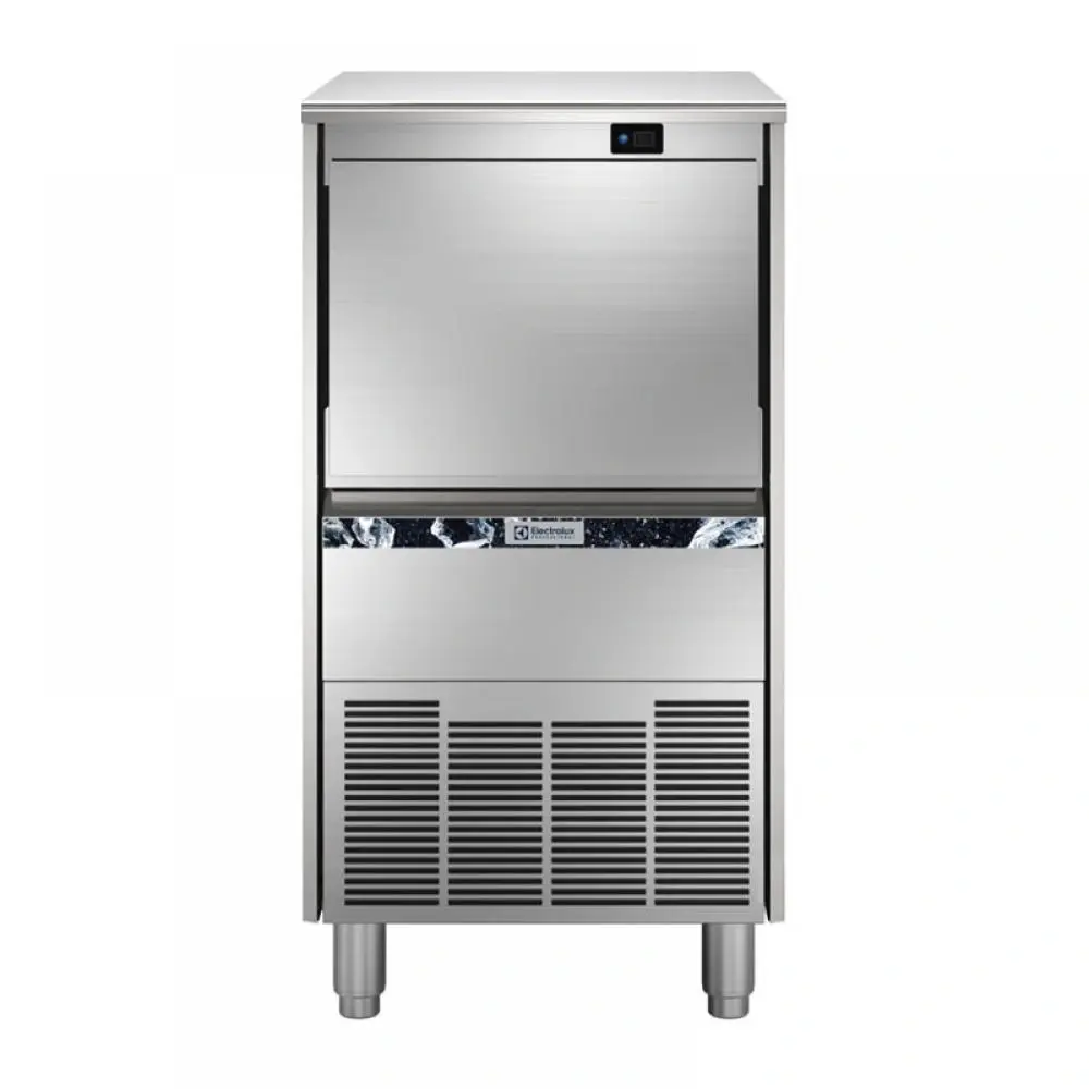 Electrolux Professional 730303 48 kg/gün